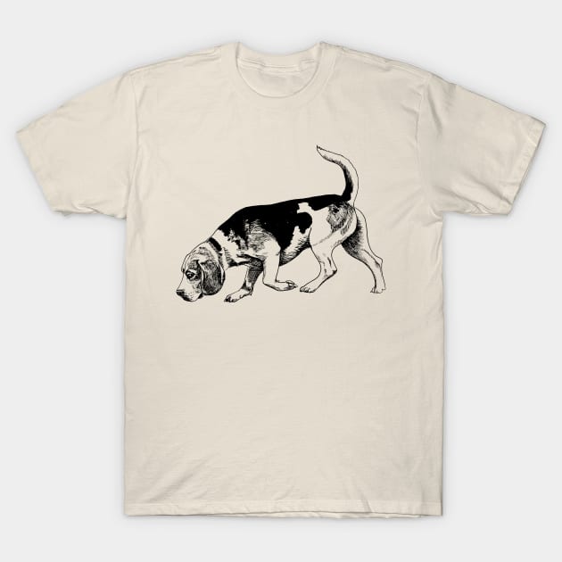 beagle T-Shirt by VicaVeresk